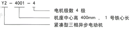 YR系列(H355-1000)高压YJTFKK4001-6-185KW三相异步电机西安西玛电机型号说明